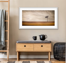 Load image into Gallery viewer, The compass-like shadow of this lone eucalypt caught my eye and pointed the way home one golden afternoon on a trip out west. South East of Gooloogong, NSW.