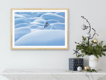 Load image into Gallery viewer, Alone among snow-covered boulders, this lone pine seemingly has the place to itself. I love the lines, the contrasts and the simplicity of this image. Alberta, Canada.