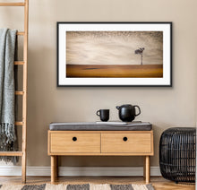 Load image into Gallery viewer, The compass-like shadow of this lone eucalypt caught my eye and pointed the way home one golden afternoon on a trip out west. South East of Gooloogong, NSW.