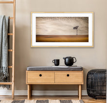 Load image into Gallery viewer, The compass-like shadow of this lone eucalypt caught my eye and pointed the way home one golden afternoon on a trip out west. South East of Gooloogong, NSW.