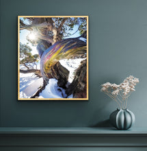 Load image into Gallery viewer, Charlotte's Gum