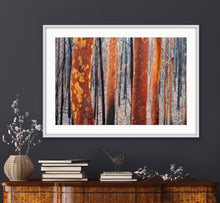 Load image into Gallery viewer, After the horrific South Coast bushfires I spent some time in the forest. This image was taken during a rain storm and to me suggests resilience & new beginnings. Sassafras, NSW. Peter Izzard Photography Fine Art Print.