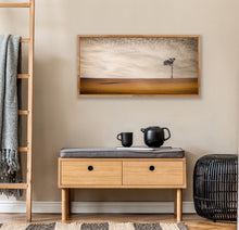 Load image into Gallery viewer, The compass-like shadow of this lone eucalypt caught my eye and pointed the way home one golden afternoon on a trip out west. South East of Gooloogong, NSW.