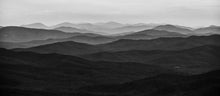 Load image into Gallery viewer, From atop Pigeon House Mountain just after dawn I viewed this sea of trees stretching into the distance in oceanic forms. Morton National Park, NSW.