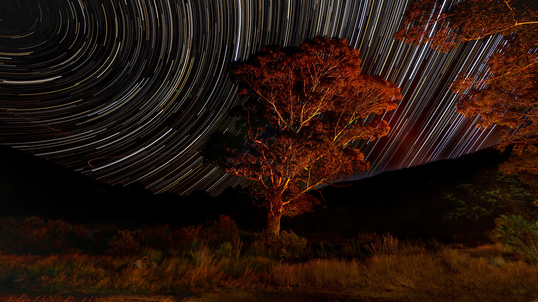 Island Bend Star Trails By Fire Light