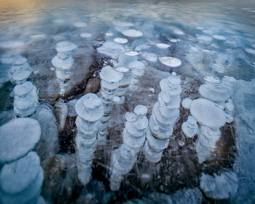 Beneath a small window-like clearing on the ice-covered lake these beautiful bubbles are frozen in time destined never to break the surface, Alberta, Canada, a fine art print by peter izzard fine art photography, leading south coast photographer, fine art photography, interior design, interior styling, property styling, architecture, art, kiama, gerringong, 
