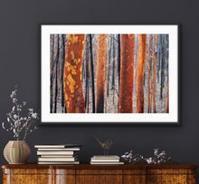 Load image into Gallery viewer, After the horrific South Coast bushfires I spent some time in the forest. This image was taken during a rain storm and to me suggests resilience &amp; new beginnings. Sassafras, NSW. Peter Izzard Photography Fine Art Print. 

