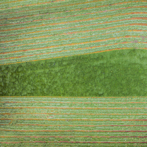 Bomaderry, NSW. From high above, I was drawn to the unique art that the farmer was inadvertently creating as he mowed his field, revealing a unique and fleeting pattern. Peter Izzard Photography Fine Art Print.