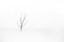 Load image into Gallery viewer, Out on the wintery snow-covered lake shore is a single solitary tree, with just two leaves left. Georgia Bay, Canada. 
